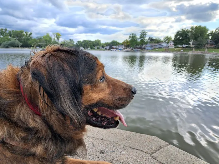 Pella Pets Veterinary Clinic Picture 8