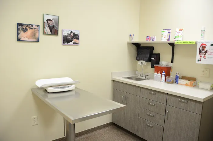 Pet Health Center of Tiffin Picture 6