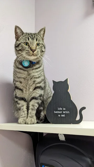 Pet Health Center of Tiffin Picture 4