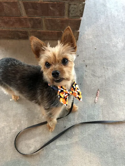 Pet Health Center of Tiffin Picture 5