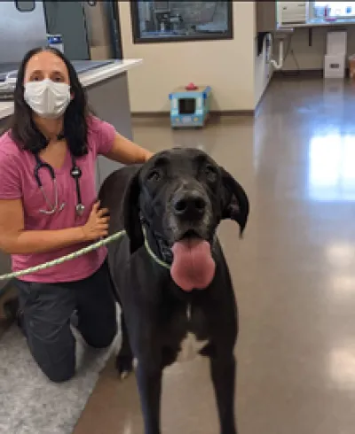 Pet Health Center of Tiffin Picture 10