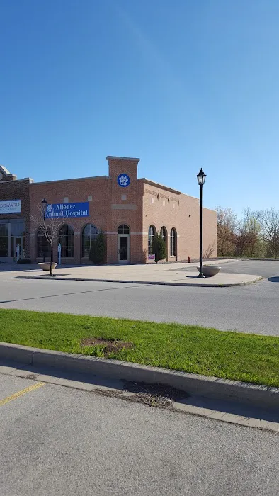 Krull Becky DVM Picture 7