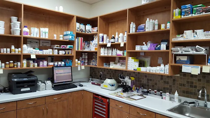 Krull Becky DVM Picture 1