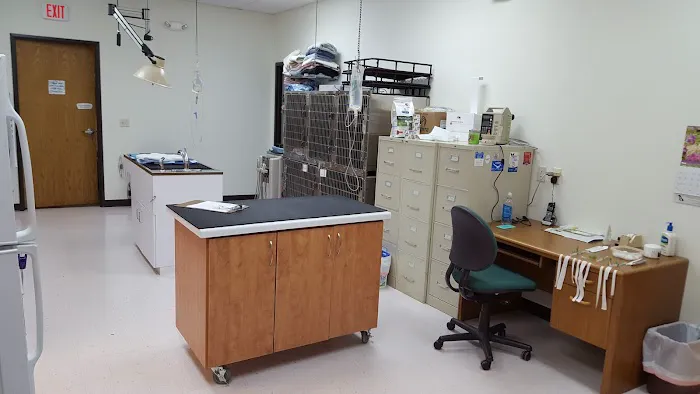 Krull Becky DVM Picture 8