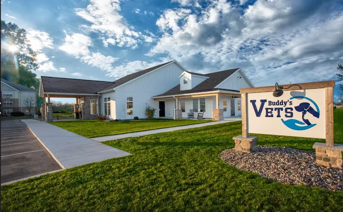 Buddy's Vets - East Picture 10