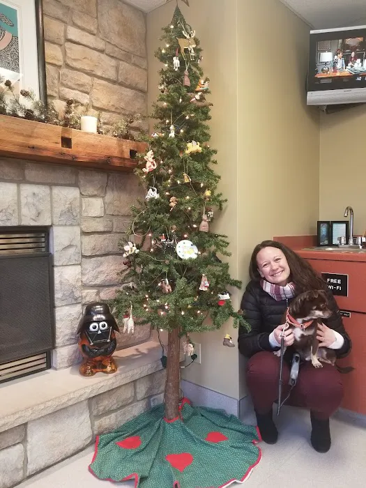 Animal, Clinic, Of, Sturgeon, Bay. Picture 2