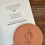 Animal, Clinic, Of, Sturgeon, Bay.