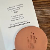 Animal, Clinic, Of, Sturgeon, Bay. ico