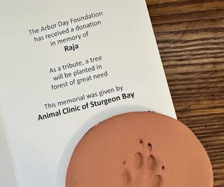 Animal, Clinic, Of, Sturgeon, Bay.