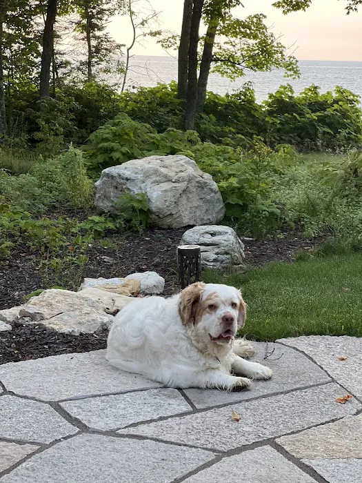 Animal, Clinic, Of, Sturgeon, Bay. Picture 5