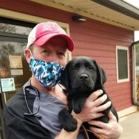 Bayside Vet Clinic ico