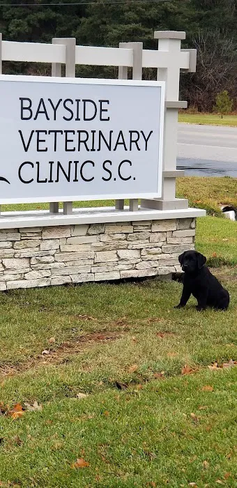 Bayside Vet Clinic Picture 2