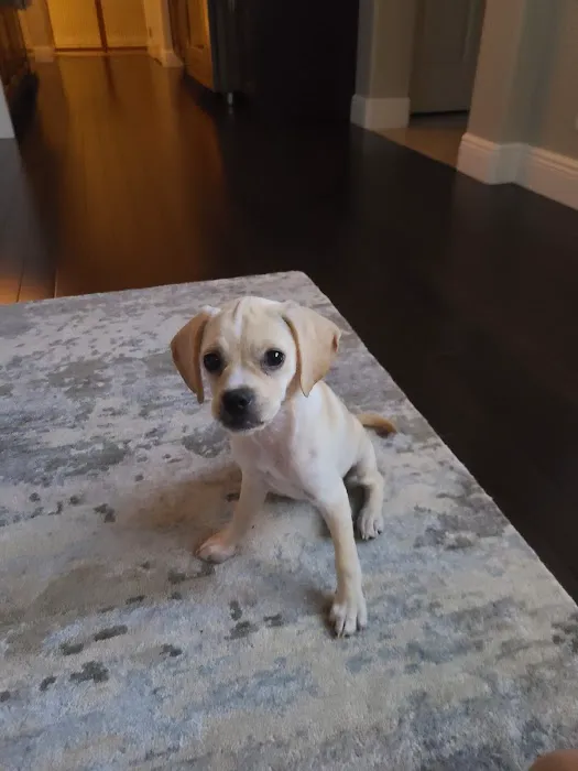 Bayside Vet Clinic Picture 4