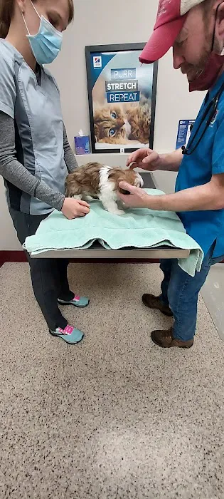 Bayside Vet Clinic Picture 3