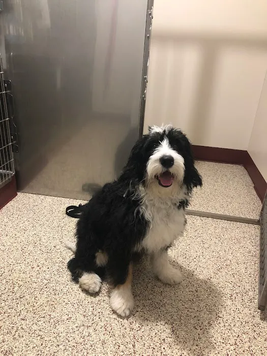 Bayside Vet Clinic Picture 7