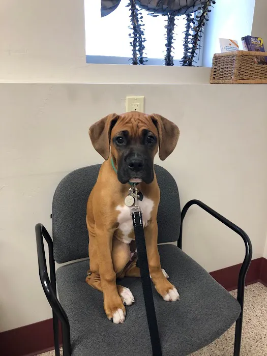 Bayside Vet Clinic Picture 6