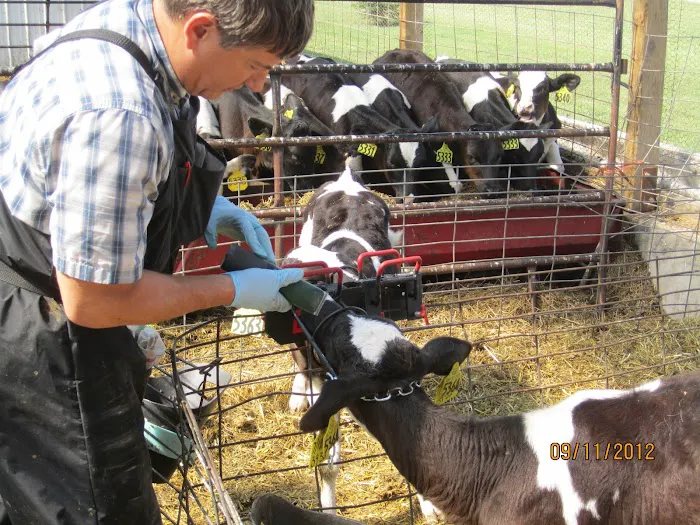 Dairyland Veterinary Service Picture 1