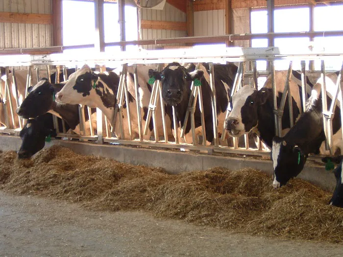 Dairyland Veterinary Service Picture 2