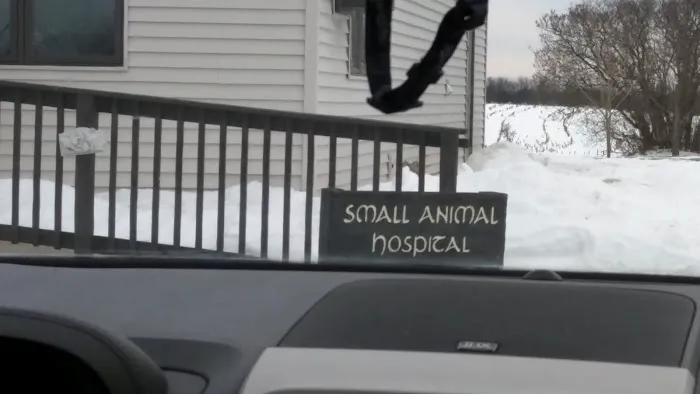 Peninsula Veterinary Hospital Picture 3