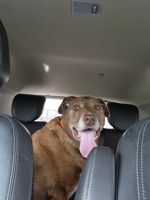 Peninsula Veterinary Hospital Picture 7