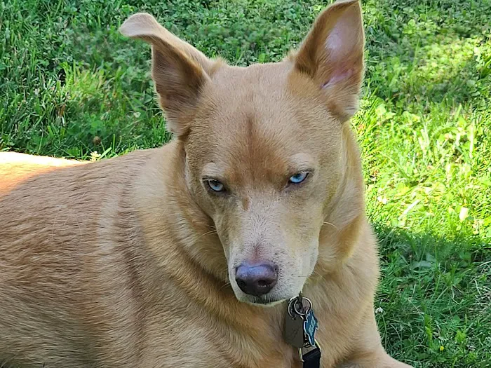 Door County Veterinary Hospital Picture 3