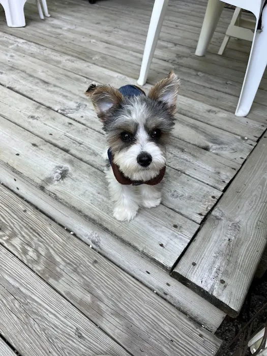 Door County Veterinary Hospital Picture 2