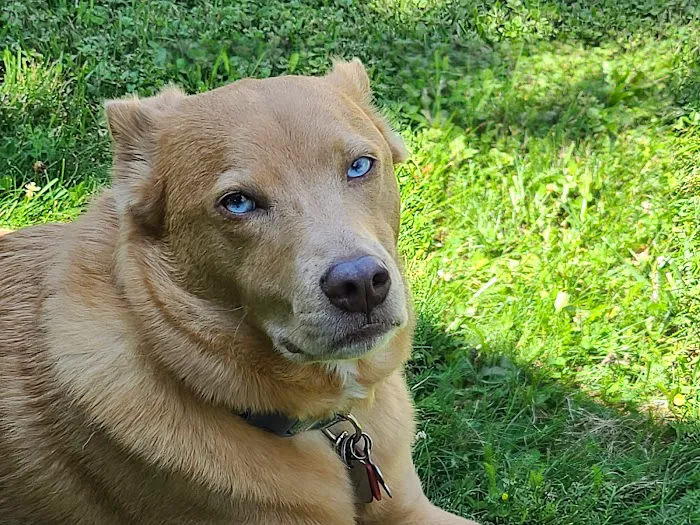 Door County Veterinary Hospital Picture 1