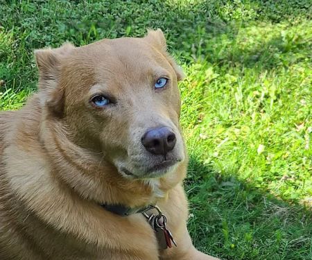 Door County Veterinary Hospital