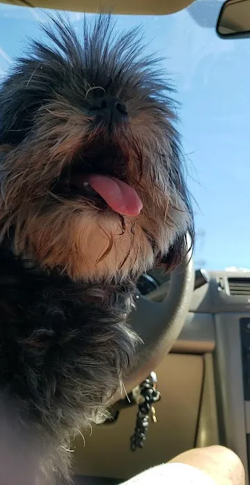 Door County Veterinary Hospital Picture 6