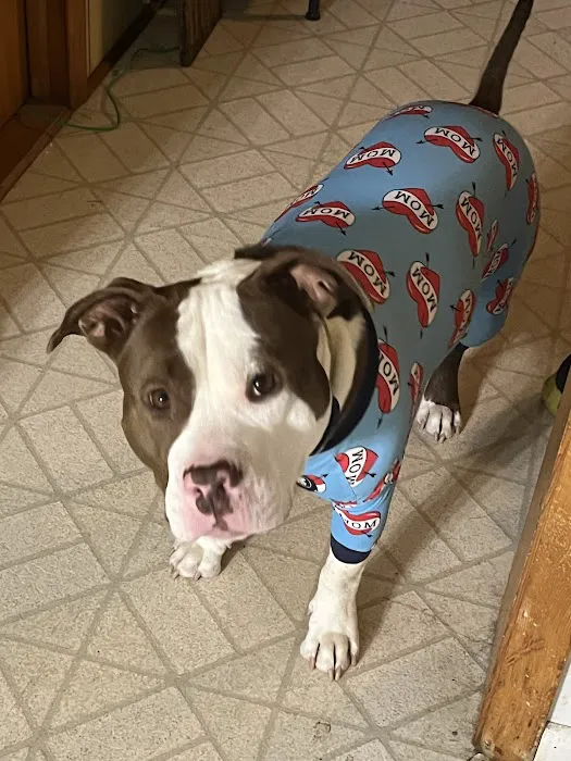 Door County Veterinary Hospital Picture 4