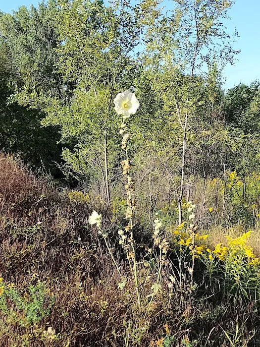 Door County Veterinary Hospital Picture 5