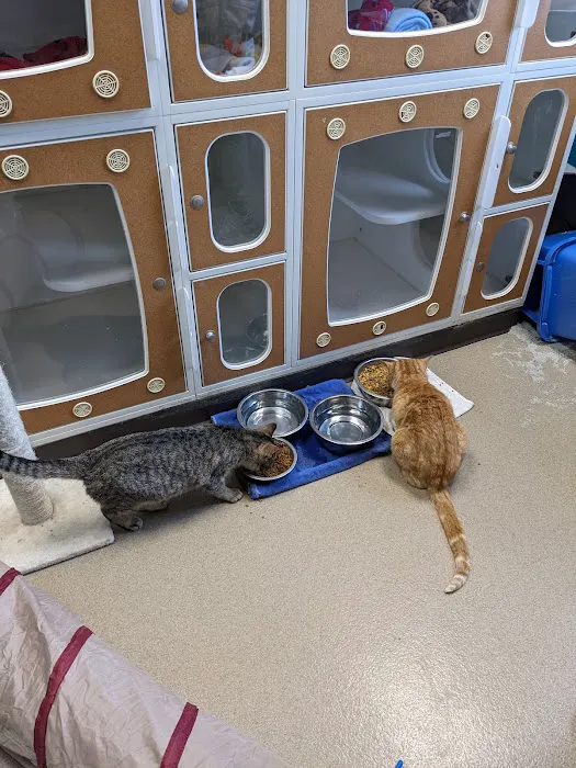 4 Legged Friends Picture 1