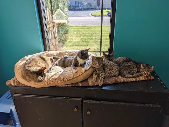 4 Legged Friends Picture 2