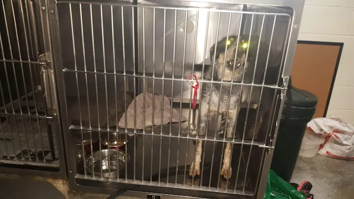 Woodview Veterinary Clinic Picture 3