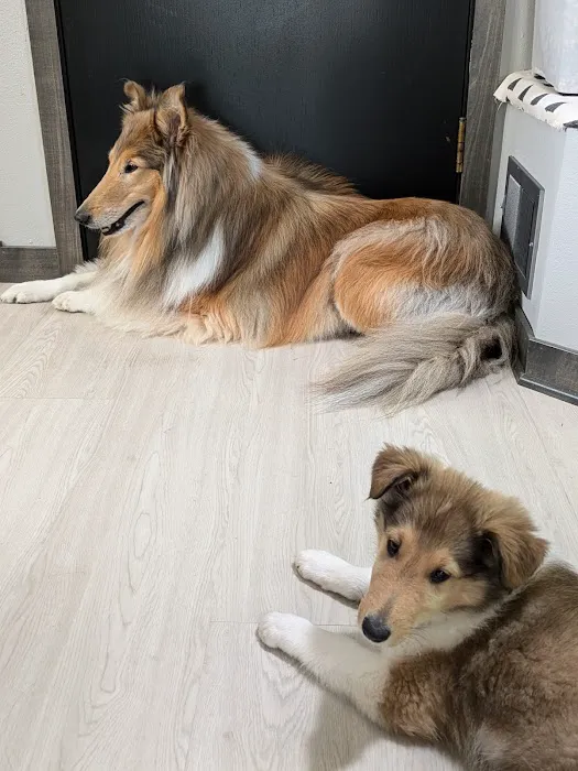 Woodview Veterinary Clinic Picture 1