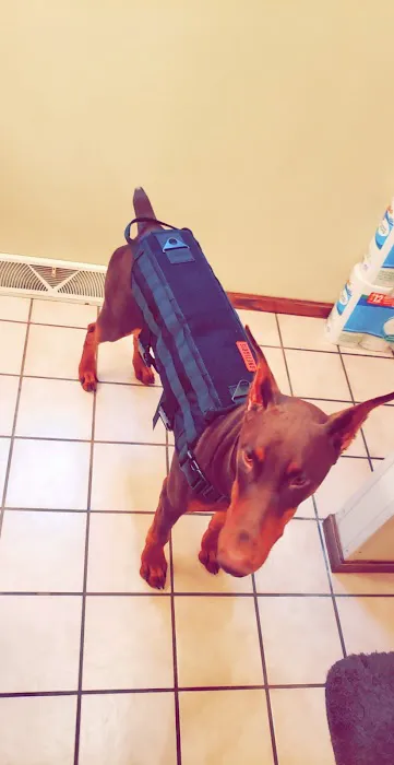 Woodview Veterinary Clinic Picture 4