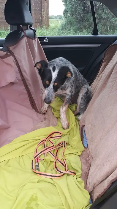 Woodview Veterinary Clinic Picture 8