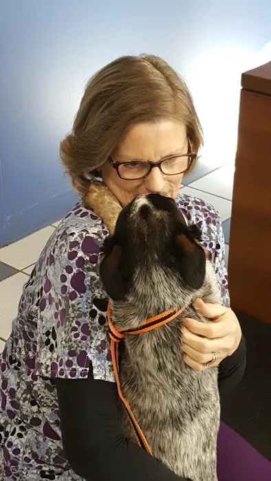 Woodview Veterinary Clinic Picture 5