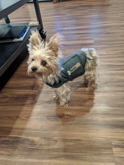 Parkdale Pet Care Picture 2