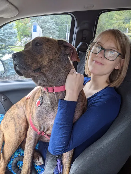 Parkdale Pet Care Picture 7