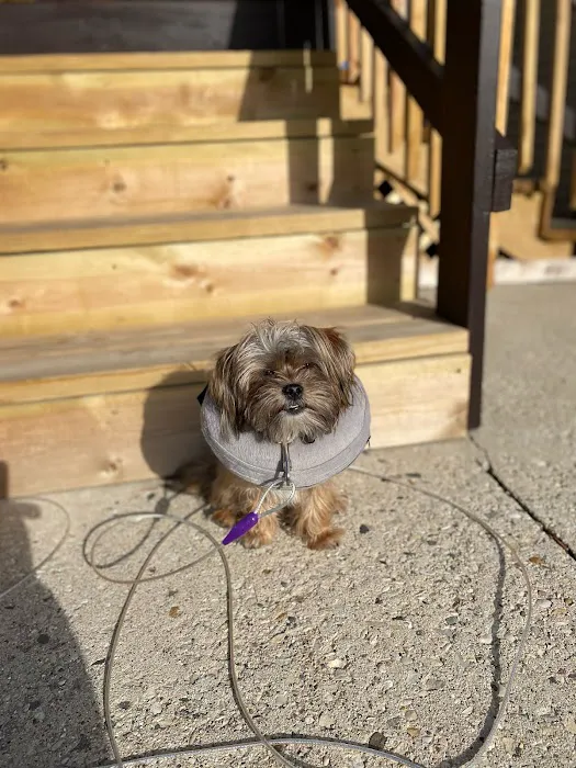 Parkdale Pet Care Picture 3