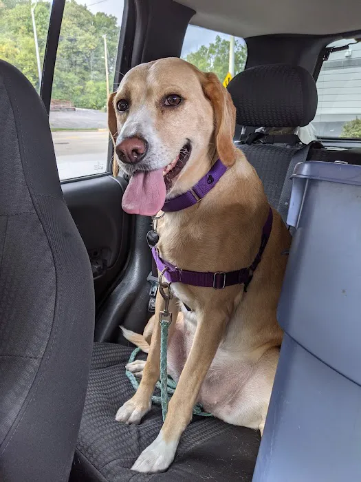 Parkdale Pet Care Picture 6