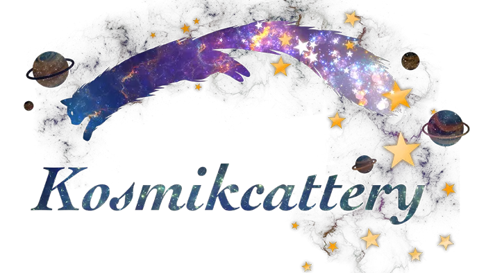 kosmikcattery Picture 9