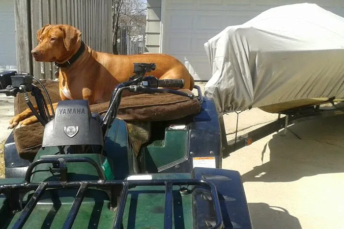 Heart & Soul Pet Clinic/West Bend Animal Hospital Picture 3