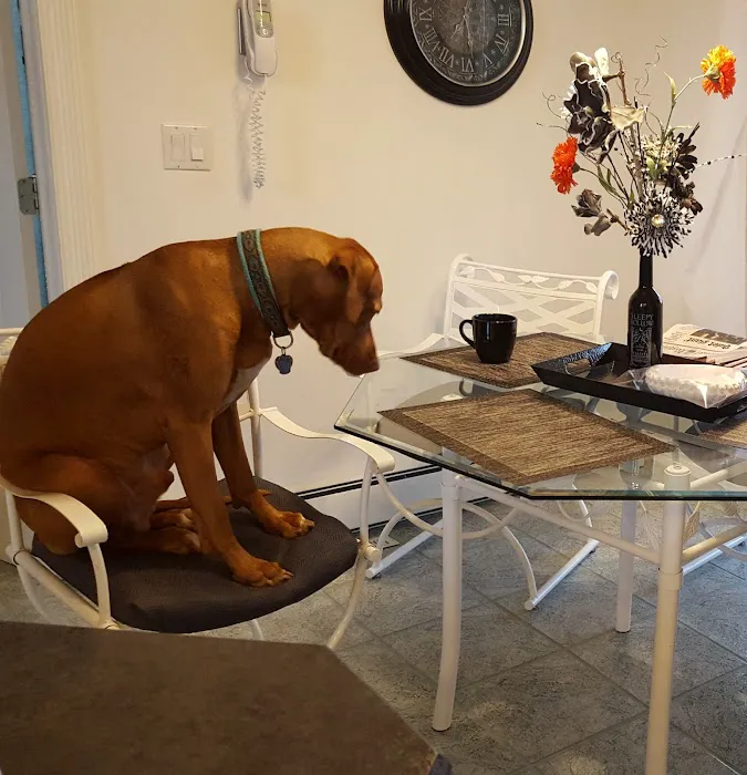 Heart & Soul Pet Clinic/West Bend Animal Hospital Picture 2