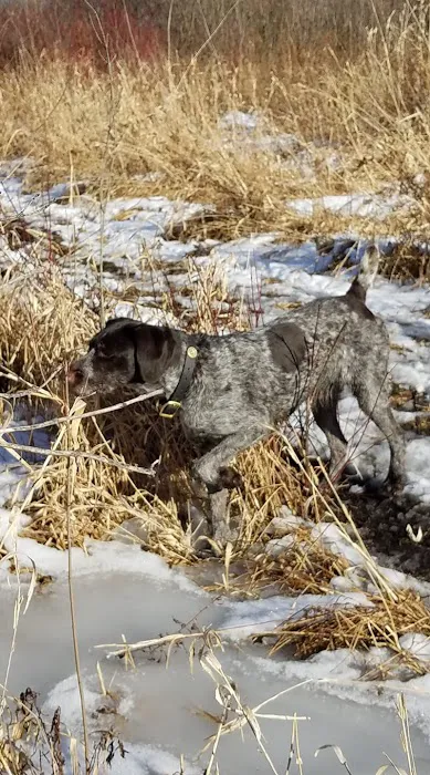 Heart & Soul Pet Clinic/West Bend Animal Hospital Picture 5