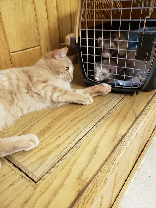 Heart & Soul Pet Clinic/West Bend Animal Hospital Picture 6