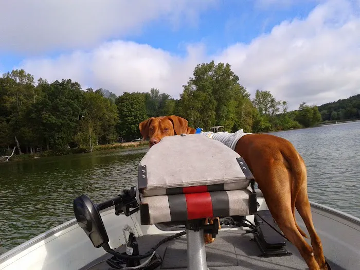 Heart & Soul Pet Clinic/West Bend Animal Hospital Picture 4