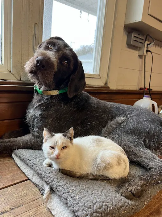 Heart & Soul Pet Clinic/West Bend Animal Hospital Picture 7