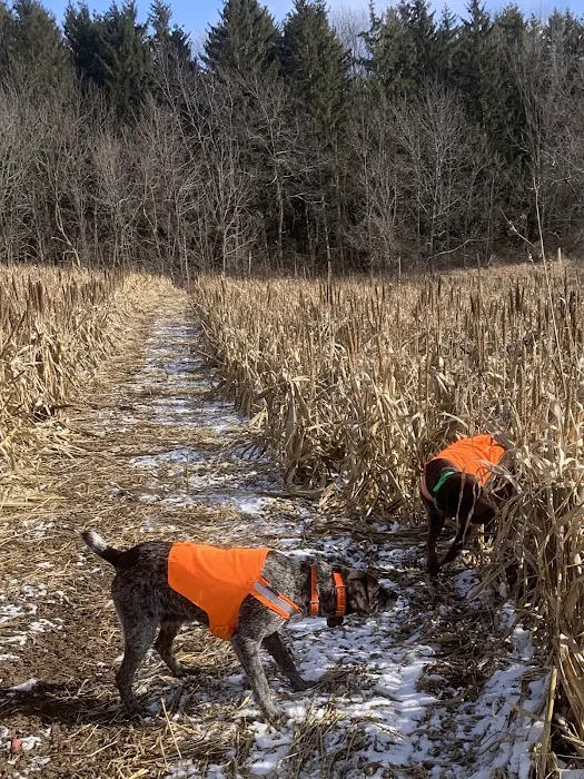 Heart & Soul Pet Clinic/West Bend Animal Hospital Picture 8